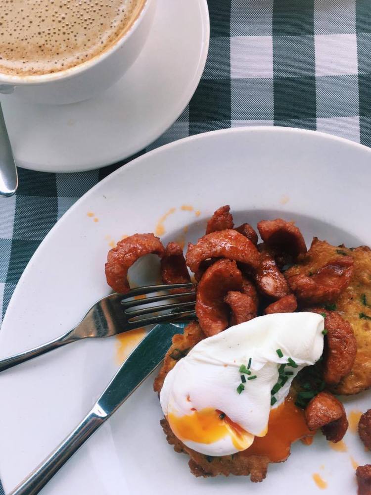 19897831_488196758198044_467032463_o